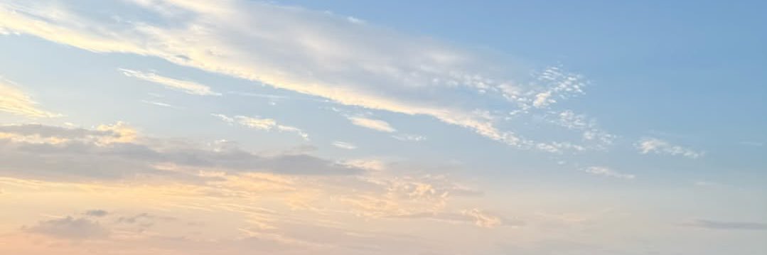 HARU'🐰🌈 banner
