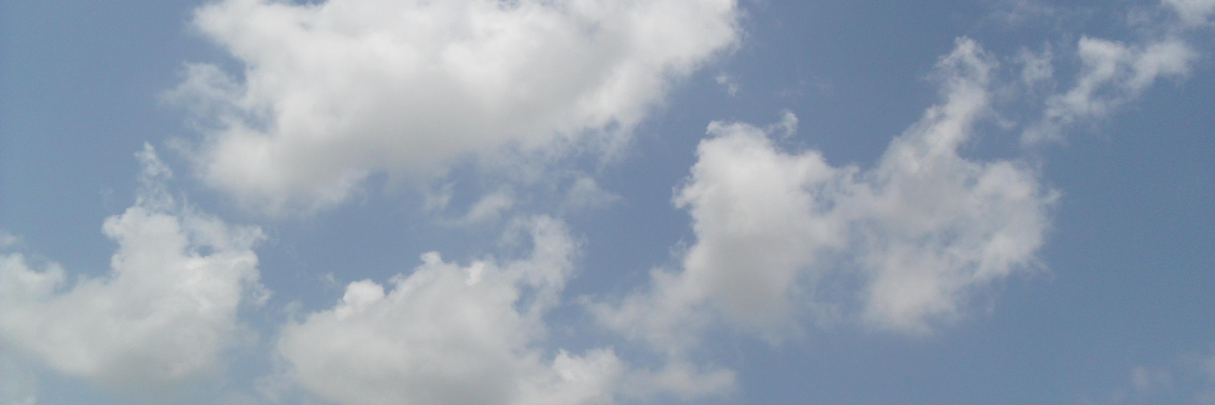 Ferdous Ara Rumee banner
