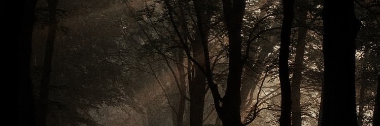 BellsFlames's profile banner image