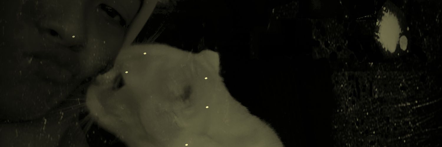 xsatenn's profile banner image