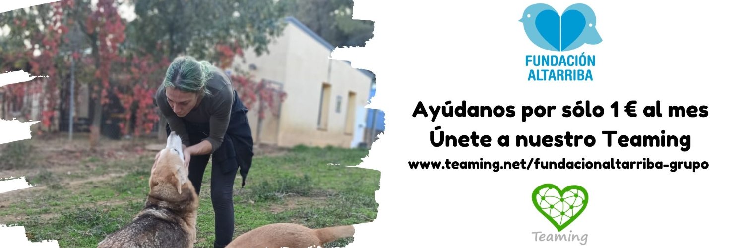 FUNDACIÓN ALTARRIBA banner