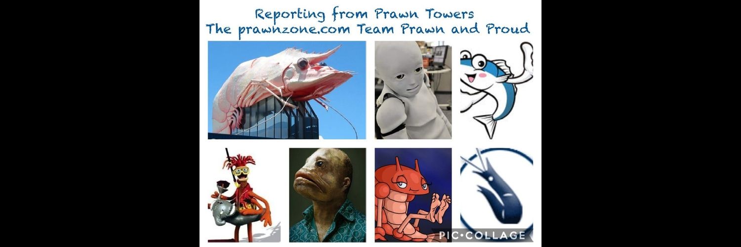 prawnzone.com banner