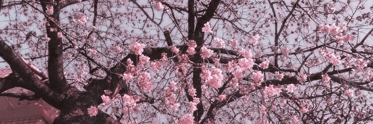 charlyne 💫 banner