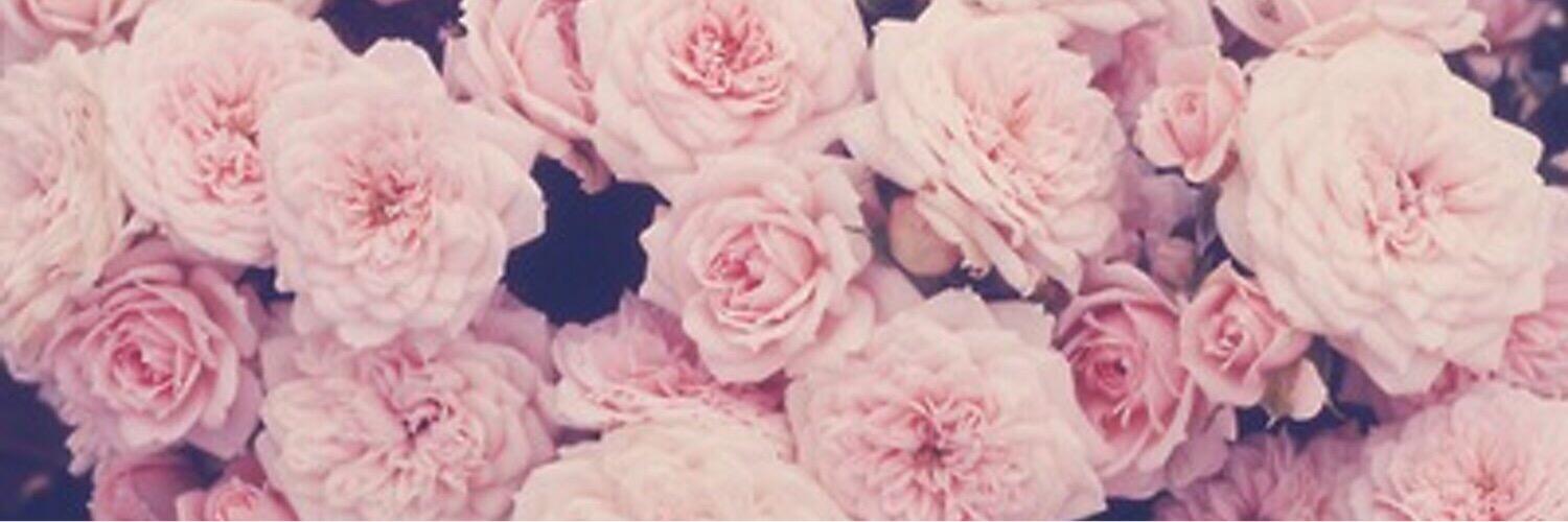 chelseacapitle_'s profile banner image
