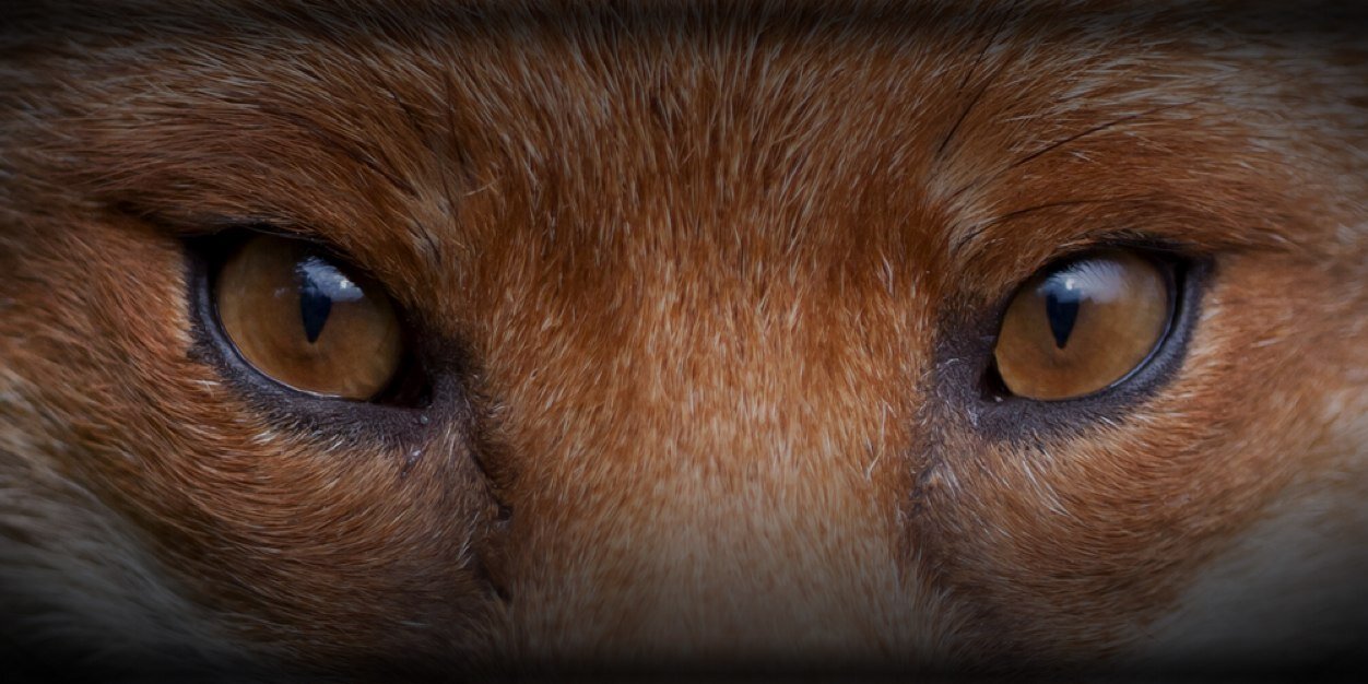 BeiMoL_'s profile banner image