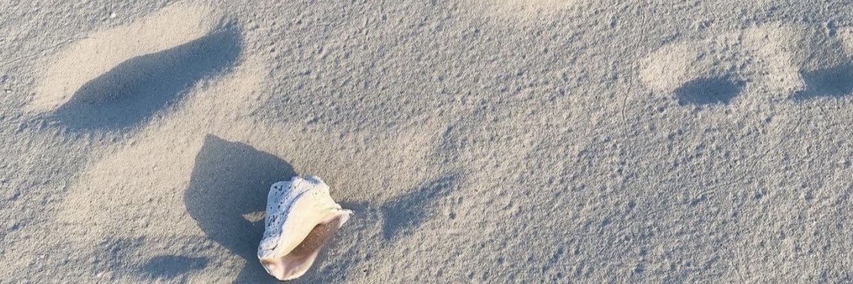 FeryelFefe's profile banner image