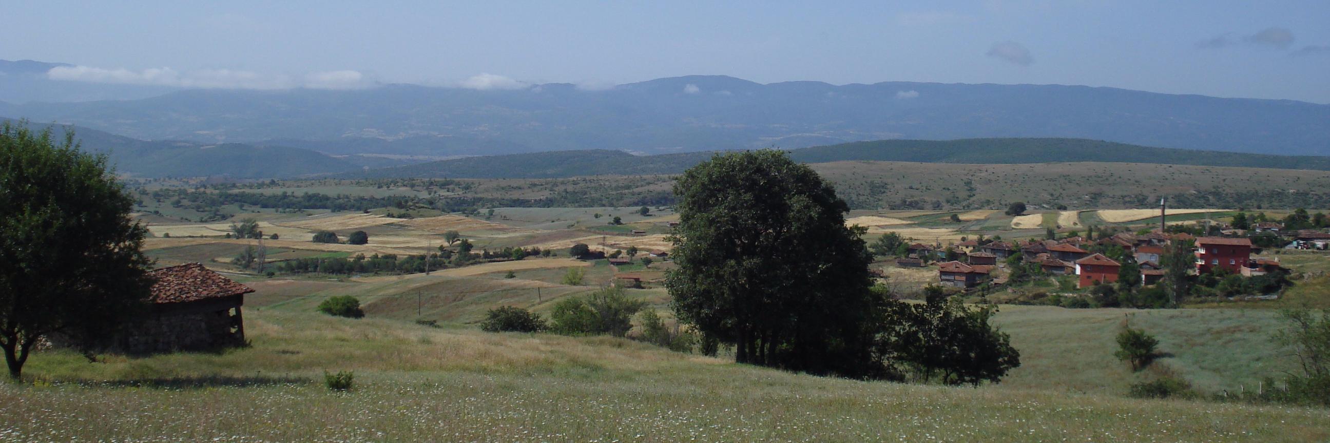 osman_karacay's profile banner image