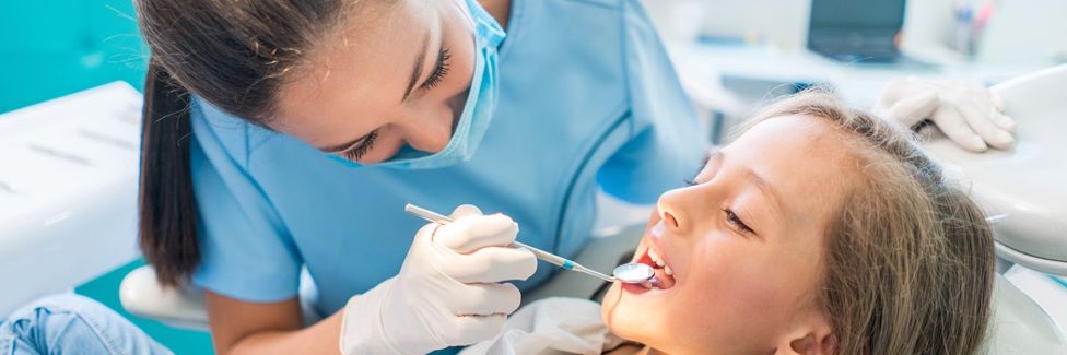 DentalNursesDirect banner