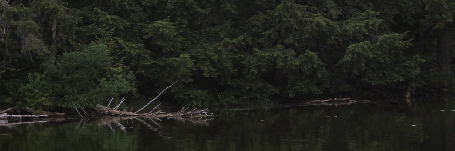 justinpetto's profile banner image