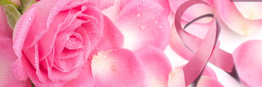 Marerob's profile banner image