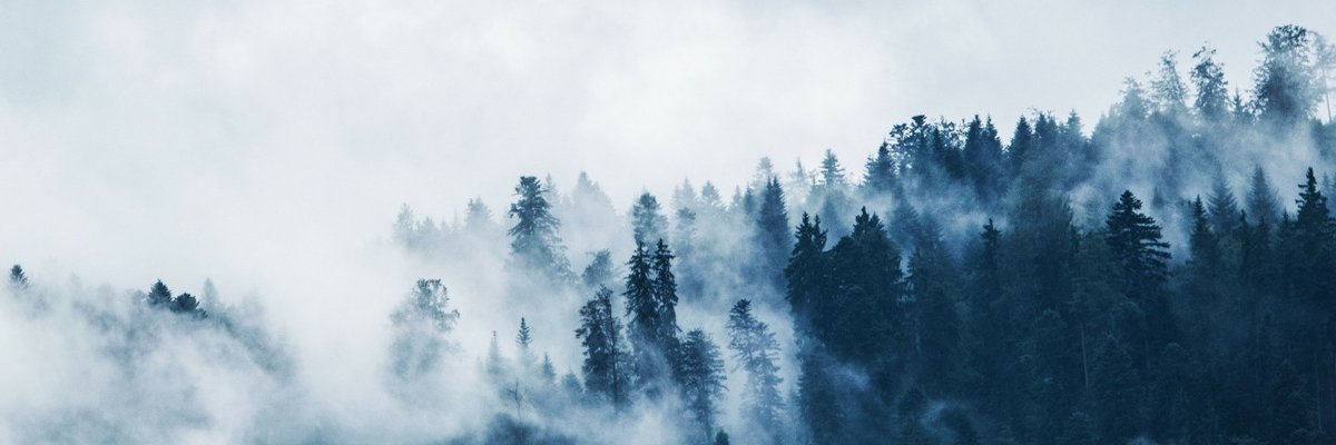 RedmanFL's profile banner image