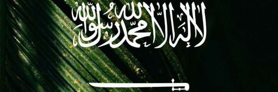 talalkolibi's profile banner image