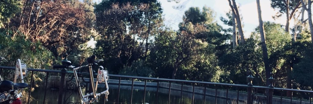 CaarmeenS's profile banner image