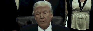 RealTrumpNoFake's profile banner image