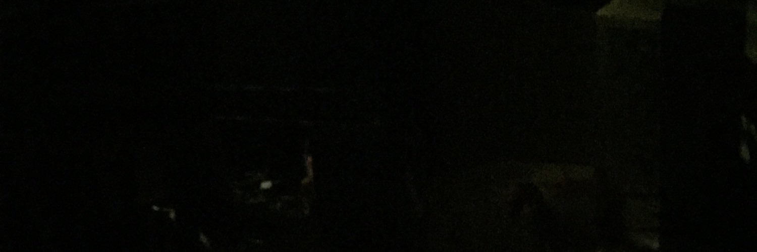 ExoticSheWolf's profile banner image