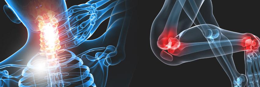 Village Physio banner