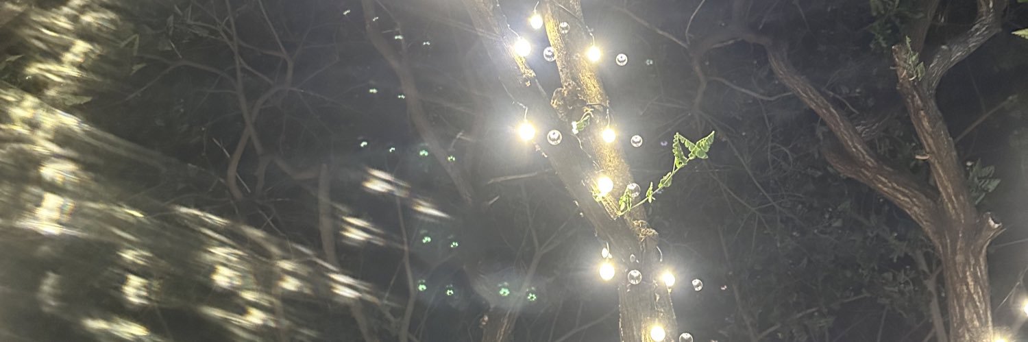 noevnoevv's profile banner image