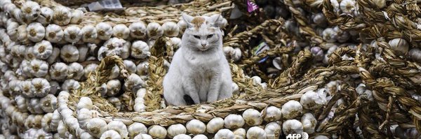 imnotold69 Profile Banner