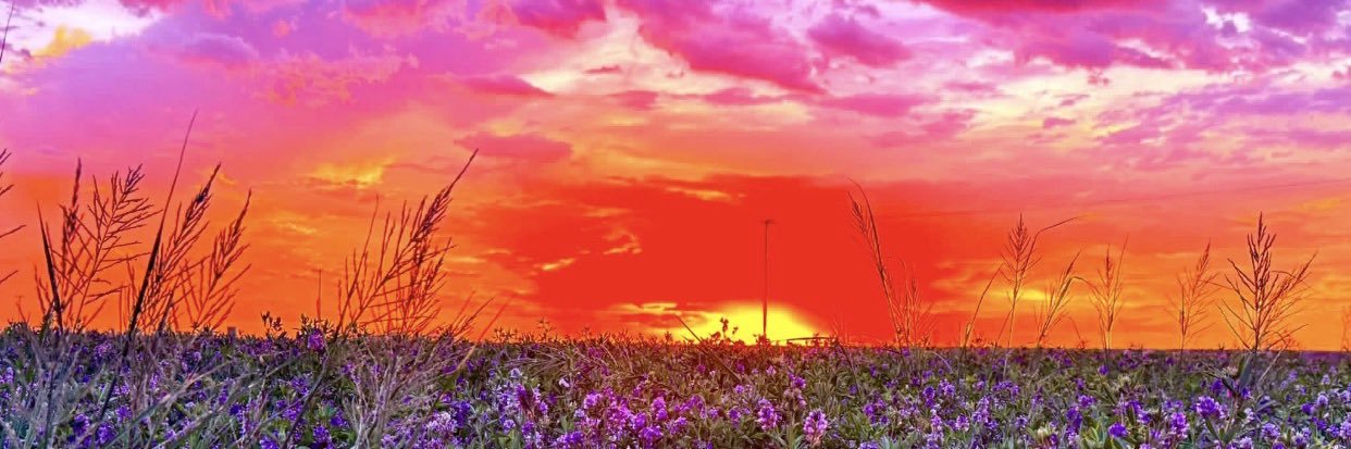 raiderette98's profile banner image