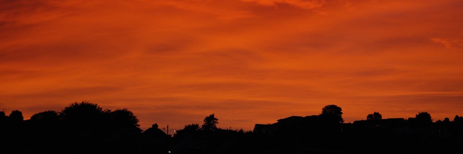 lloyd blackler banner