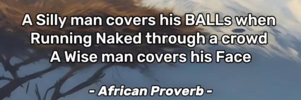 PATRIOTIC PAKISTANI PERIOD banner