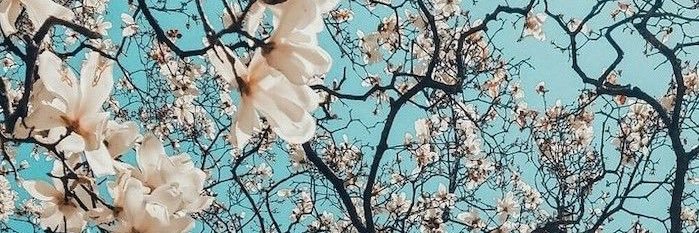 JasmijnBessems's profile banner image