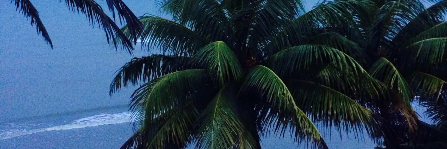 togdenjr's profile banner image