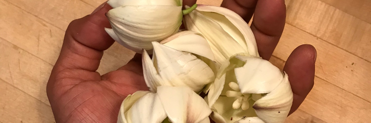 plinth__'s profile banner image
