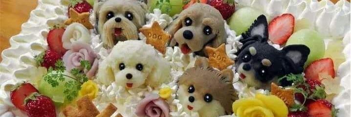 graciela noemi banner