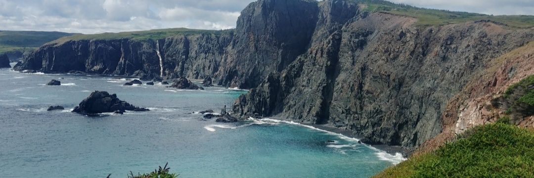 Paula🇨🇦 banner