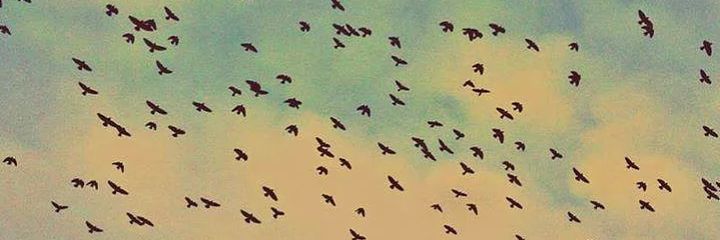 hlyasezgin's profile banner image