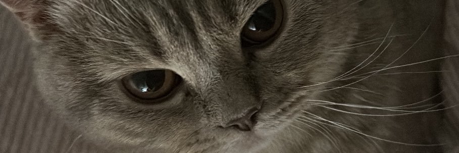 mbeeyaa's profile banner image