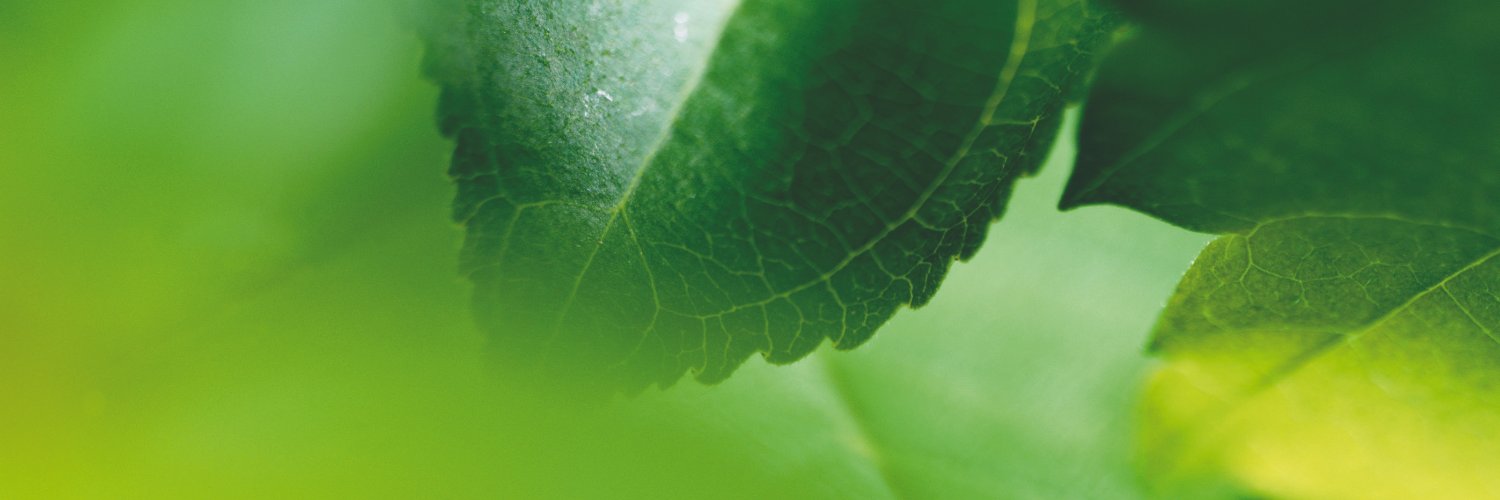 lr_ch's profile banner image