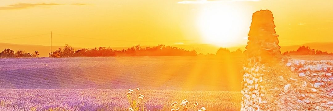 nance2902's profile banner image
