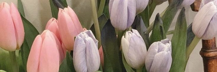 vicmaclellan's profile banner image