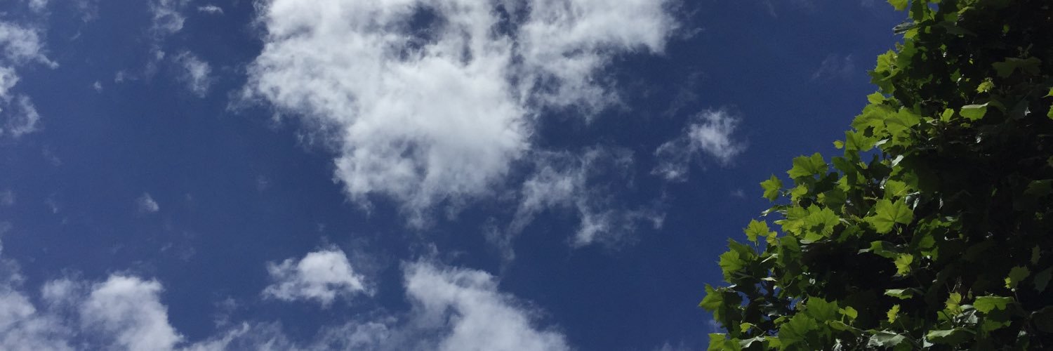 沙織☆(学習中)'s banner