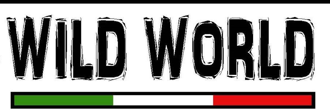 WildWorldsrl's profile banner image