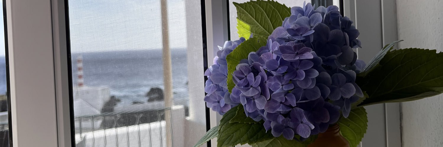 Mireenee's profile banner image