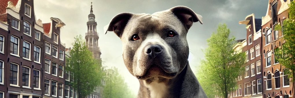 💰CryptoGator🐊 banner