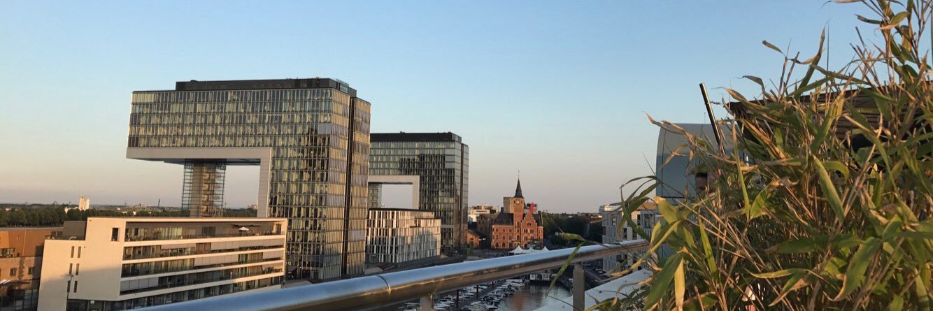timobrau's profile banner image