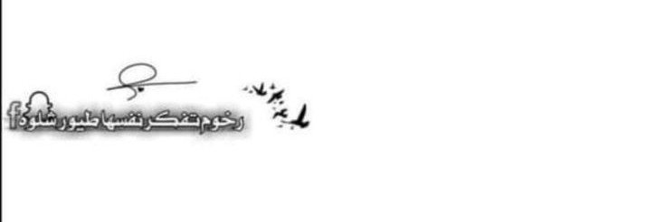Spikepin's profile banner image