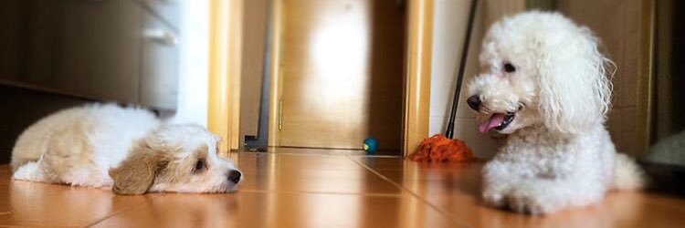 angelamd94's profile banner image
