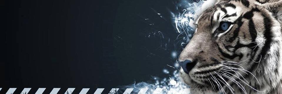 Magicride025's profile banner image