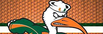 canesmacked01's profile banner image