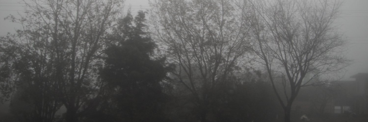 alonso banner