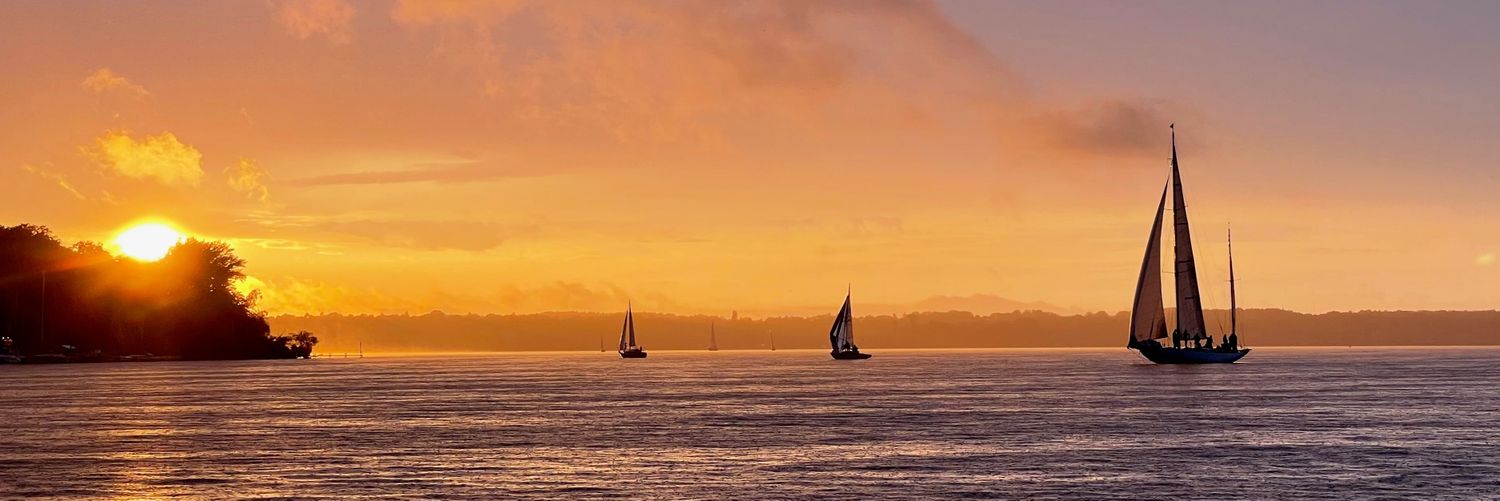 Philipp Steves 🇺🇦 🇮🇱 🇺🇦 🇮🇱 banner