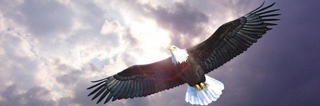 Darhan89's profile banner image