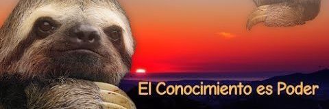 PaupiCastellano's profile banner image