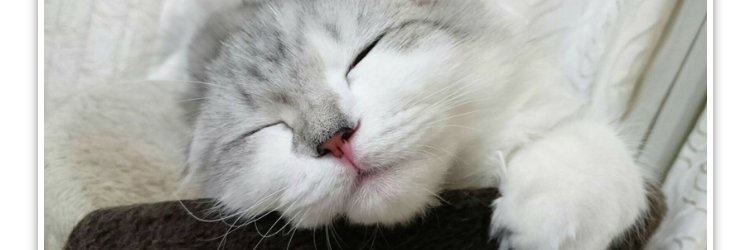 inacaffe_comuni's profile banner image