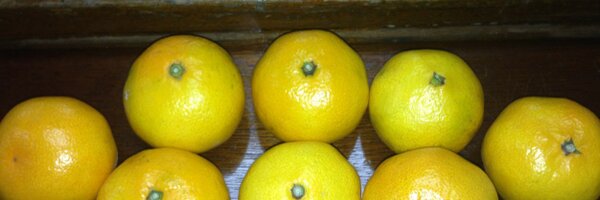 gamenara Profile Banner